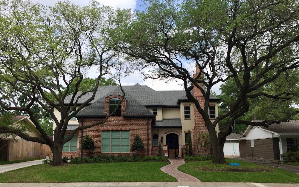 Landscaping Tree Trimming 77063