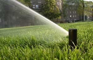 Lawn Water Needs Texas Lawn Sprinkler Houston Landscape Pros 77024