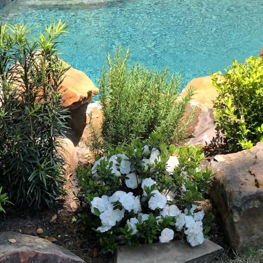 Landscaping Installation Backyard Houston