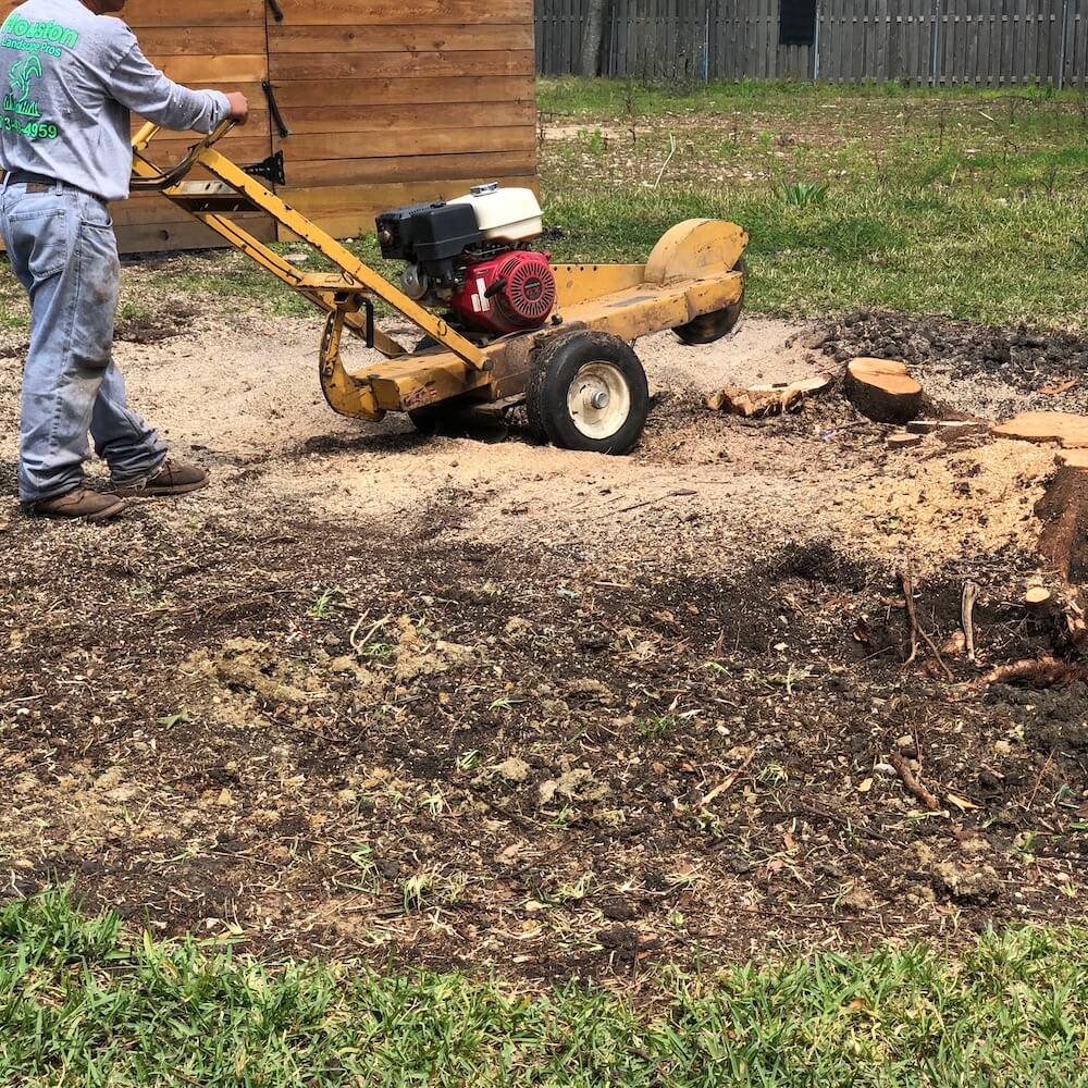 Landscping Tree Trimming Stump Grinding Houston
