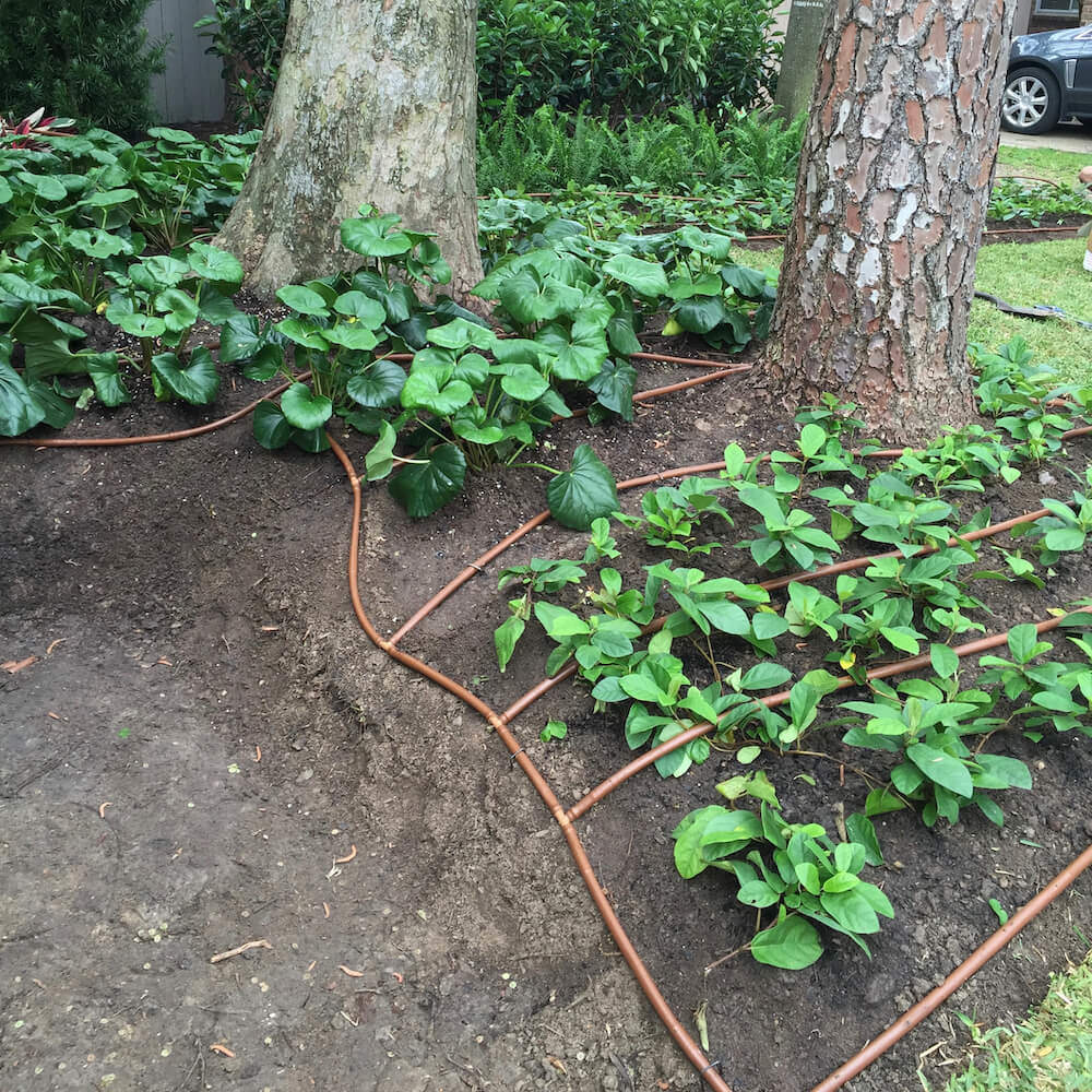 lawn sprinkler drip system Houston