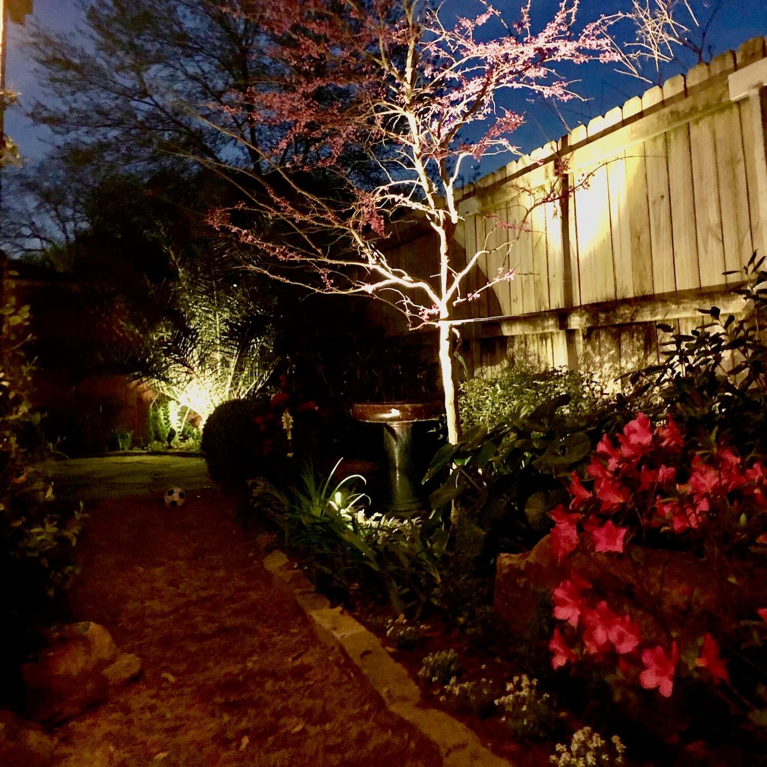 outdoor landscape lighitng up right tree backyard 77042