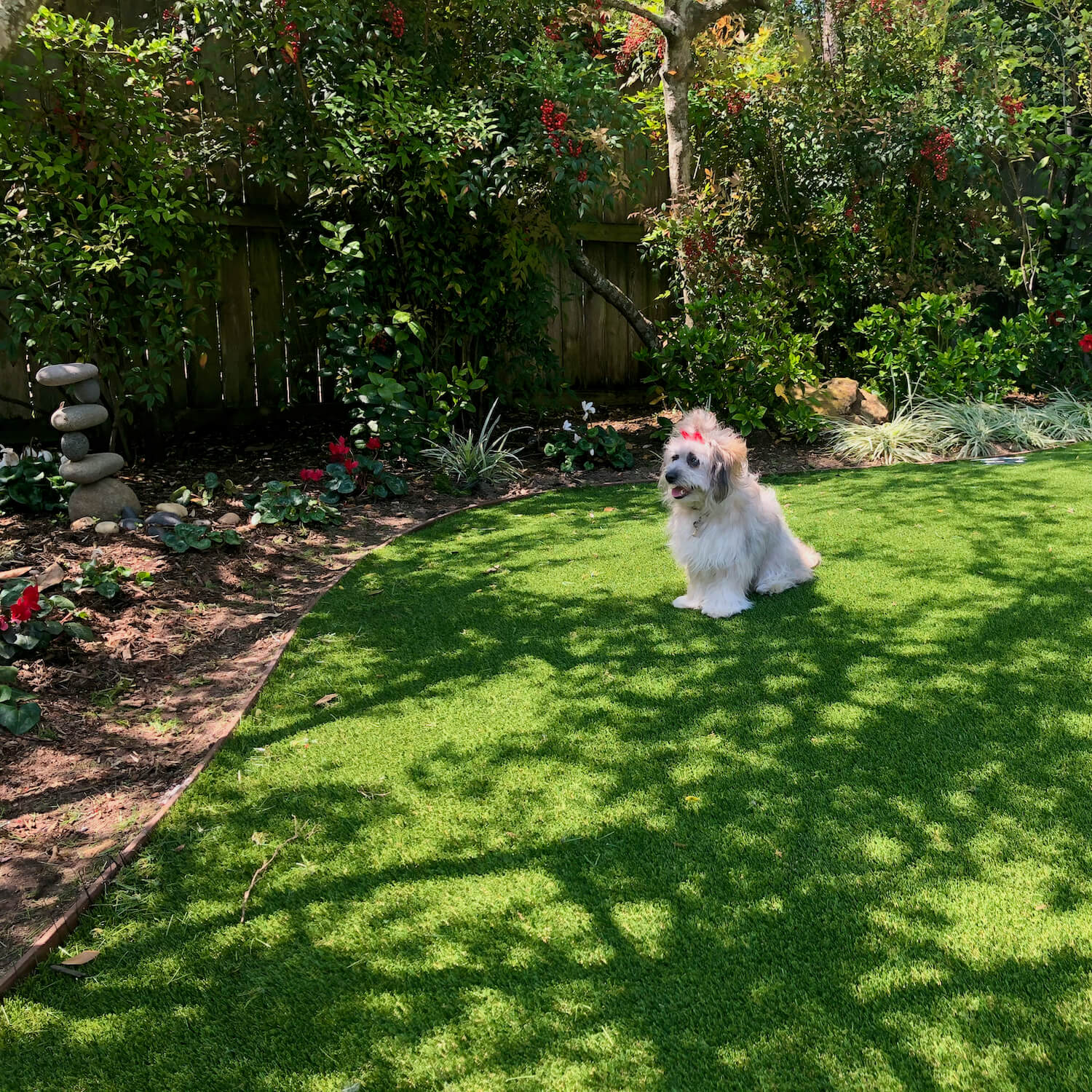 Artificial Grass Pet Friendly Turf Houston Tx 77042