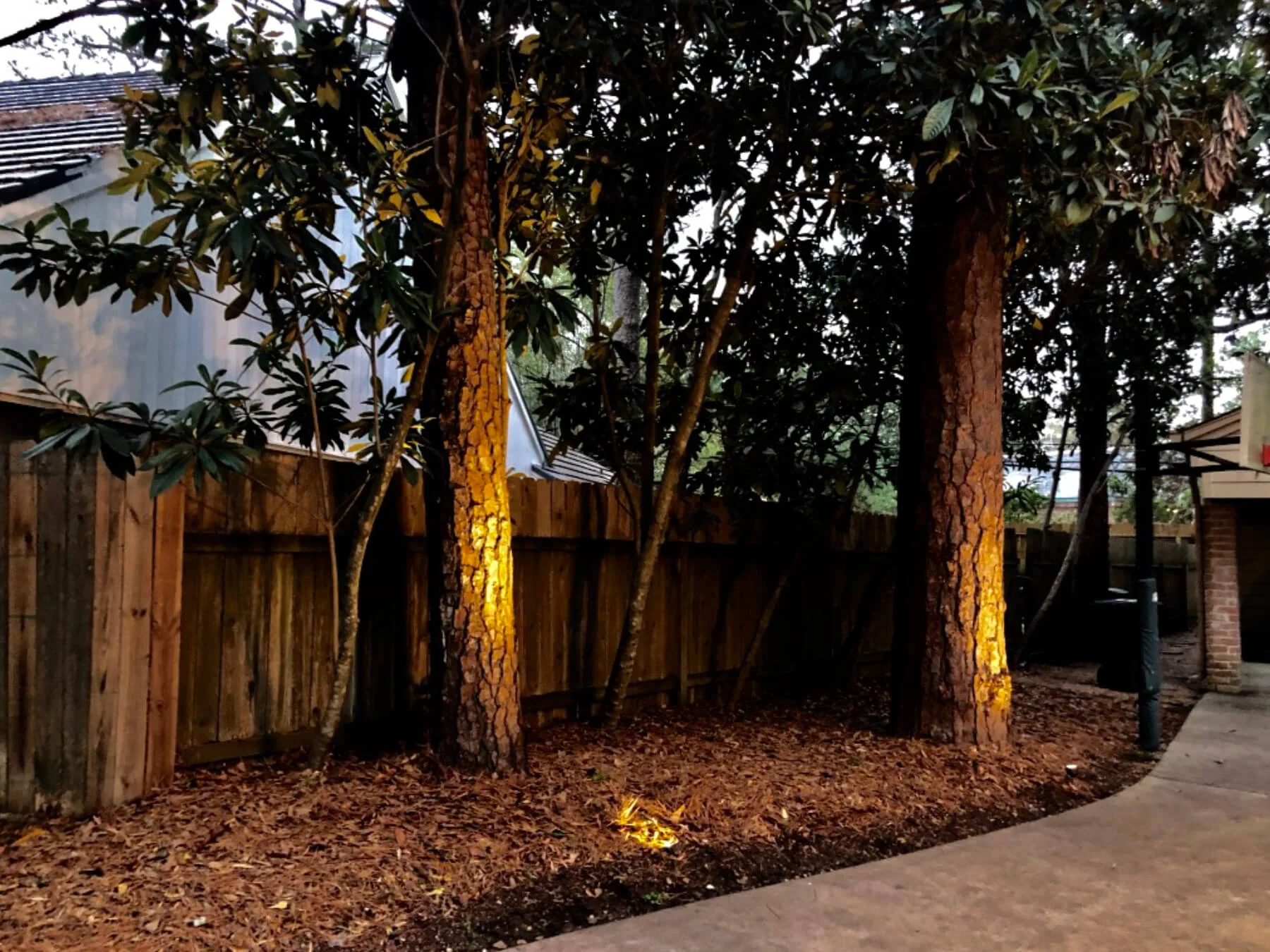 Outdoor lighting trees front yard